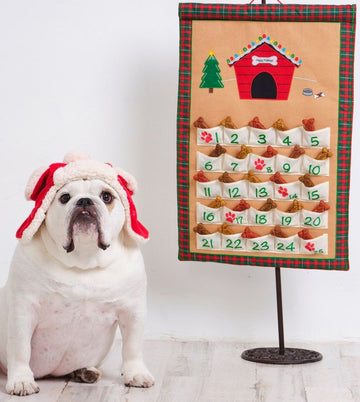 The Canine Countdown: 7 Reasons Why Your Pup Needs a Doggy Advent Calendar 🐾🎁